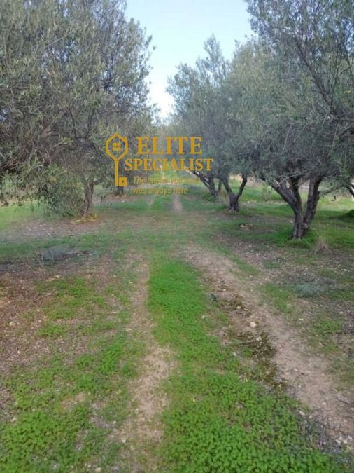 Photo 327517581