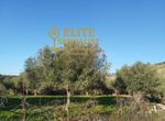 Photo 327518007