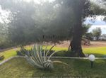 Photo 327736083