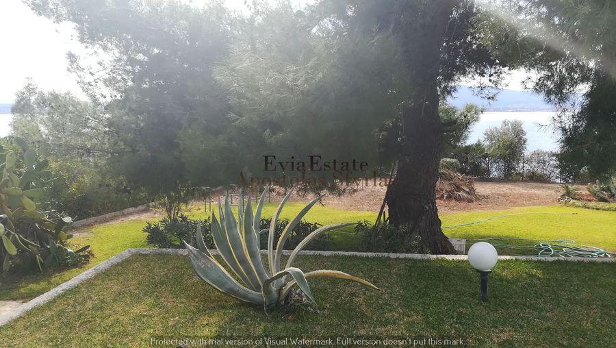 Photo 327736083