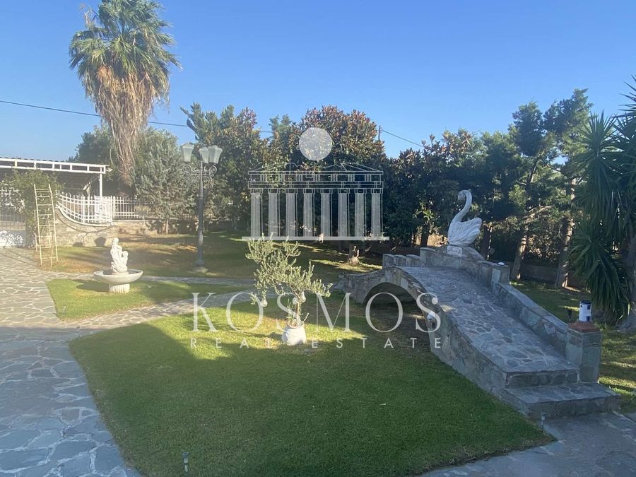 Photo 327934812