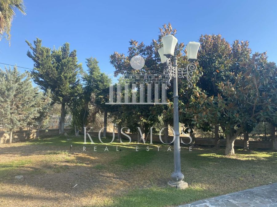 Photo 327934815