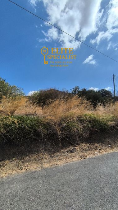 Photo 328205082