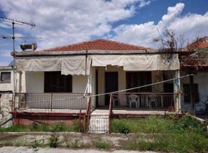 Μονοκατοικία προς πώληση Παλαιόκαστρο (Σκοτούσσα) 72 τ.μ. Ισόγειο