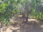 Photo 328831503