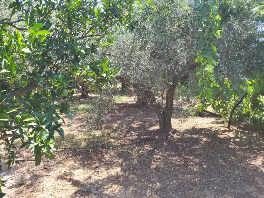 Photo 328831503