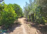 Photo 328831506
