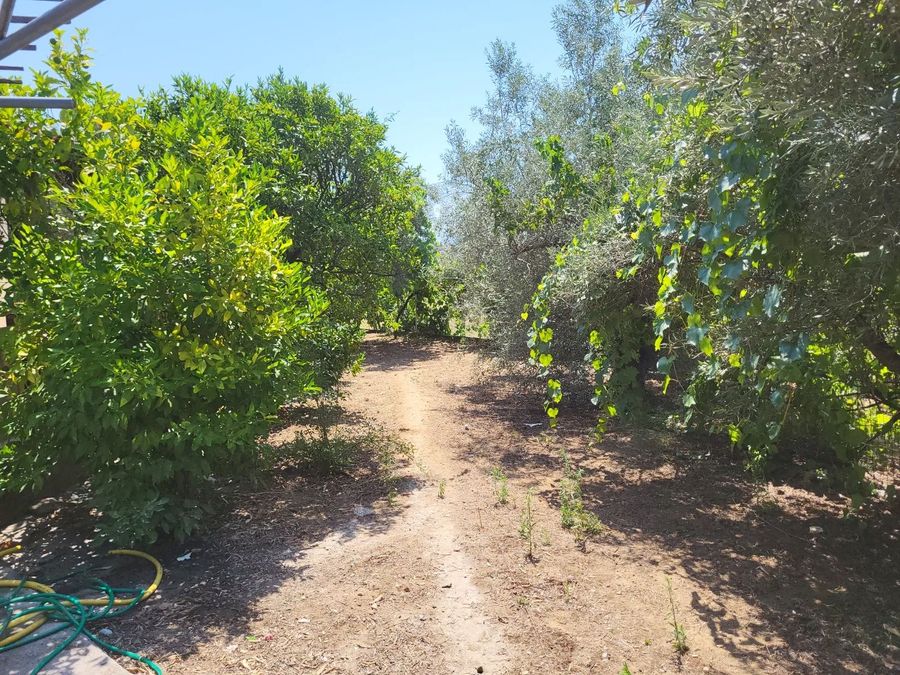 Photo 328831506