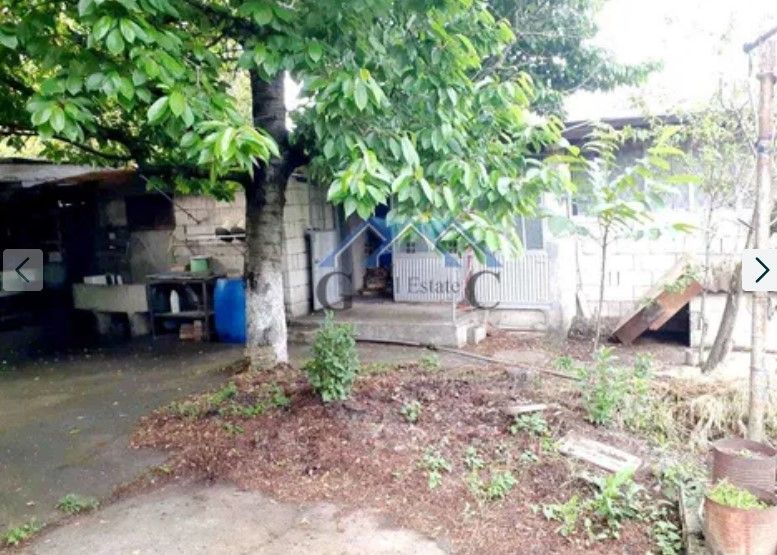 Снимка 328908819