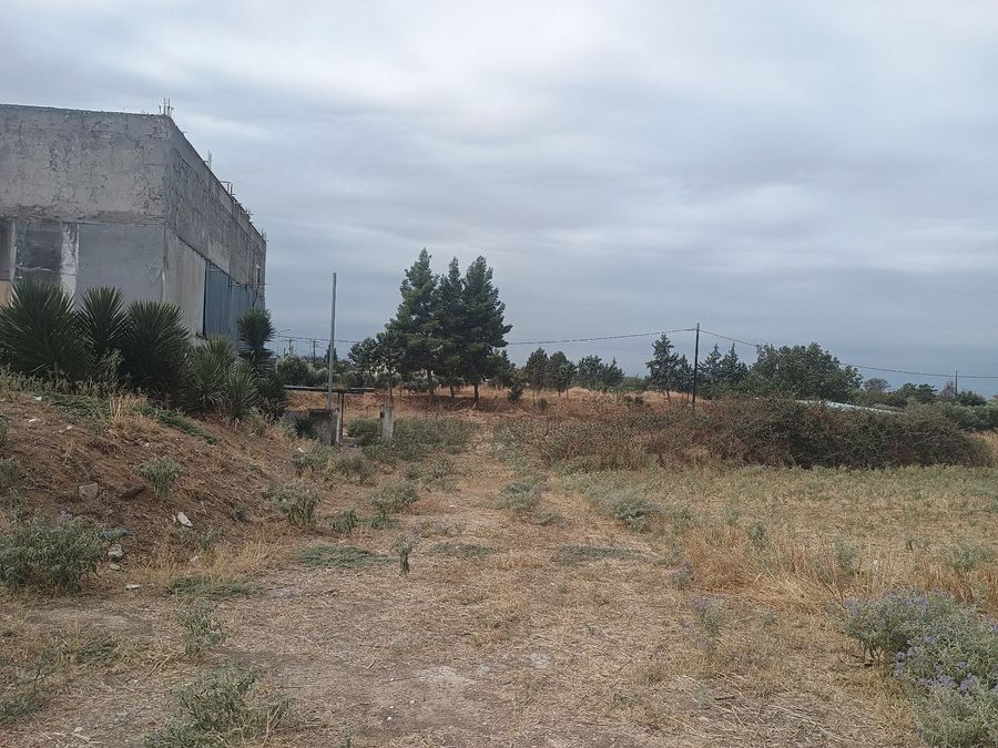 Photo 328928820