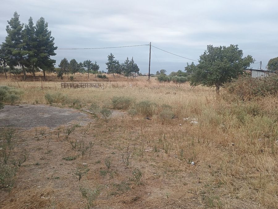 Photo 328928823