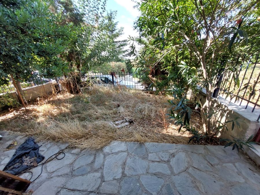 Photo 329005902