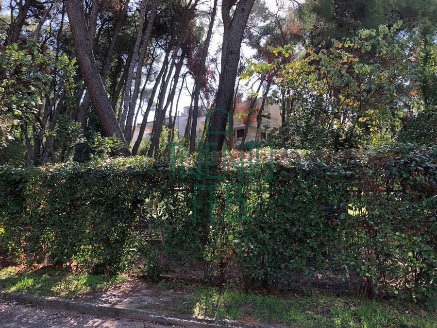 Photo 329129397