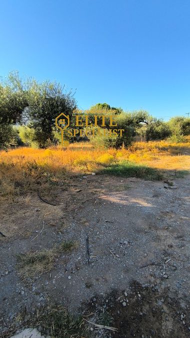 Photo 329173455