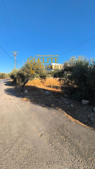 Photo 329426736