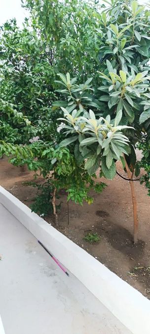 Photo 329554485