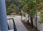 Photo 329554491