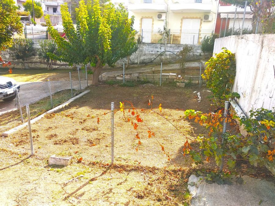 Фото 329710644