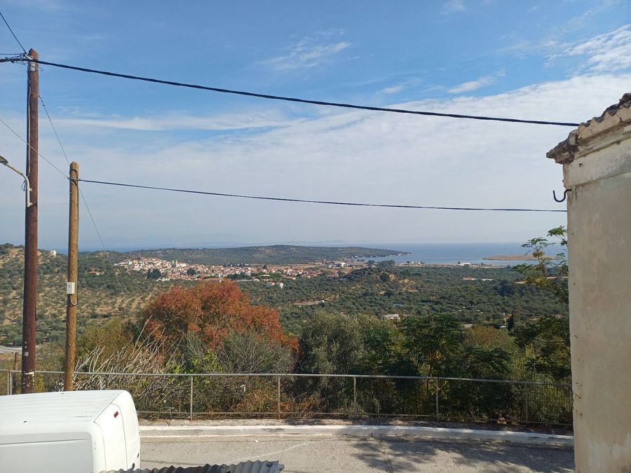 Photo 329711469