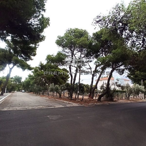 Photo 329973498