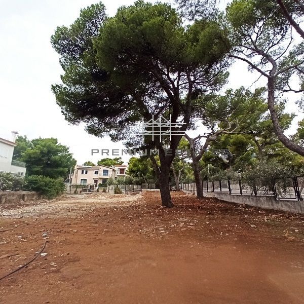 Photo 329973504