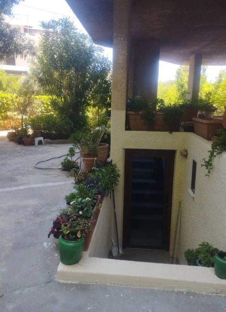 Photo 330072429