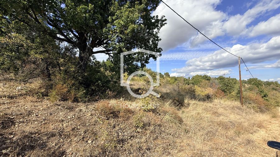Photo 330139290