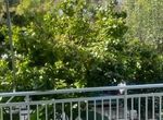 Photo 330235416