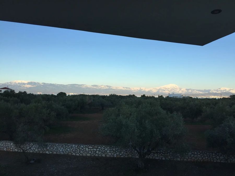Photo 330529716