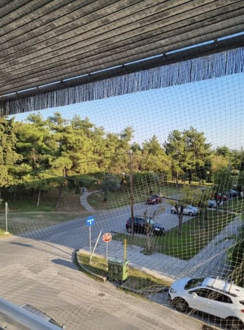 Photo 330580782