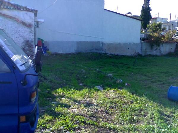 Photo 330594