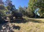 Photo 330630861