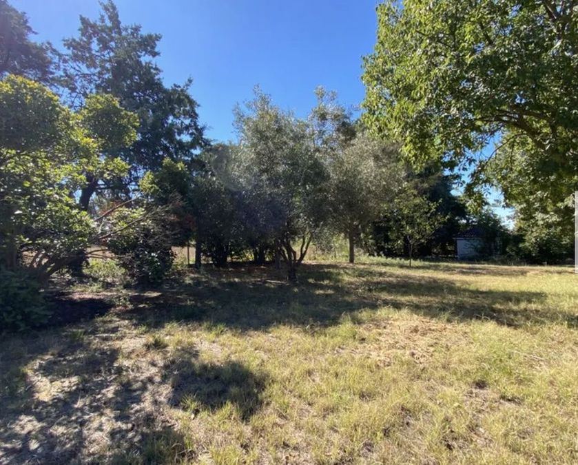Photo 330630861