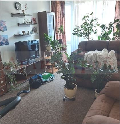 Снимка 330773697