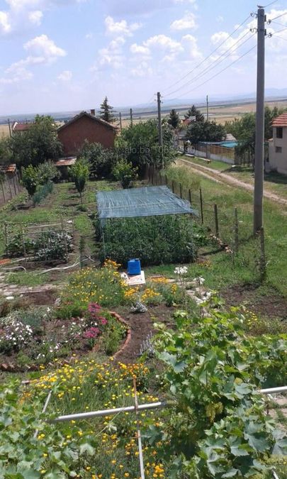 Снимка 331760244