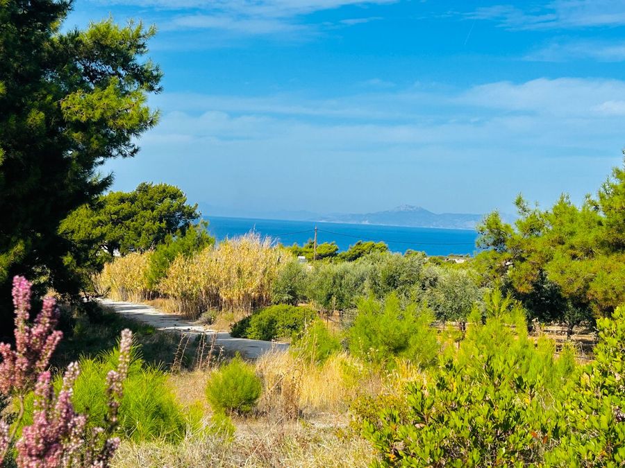 Sale, Plot, 15600m² Rhodes, Paradeisi | 18512479 | Spitogatos