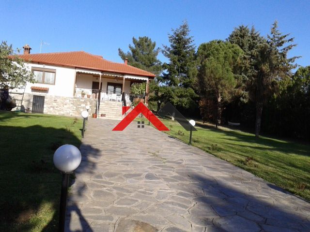 Photo 332363679