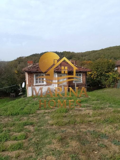 Снимка 333456993