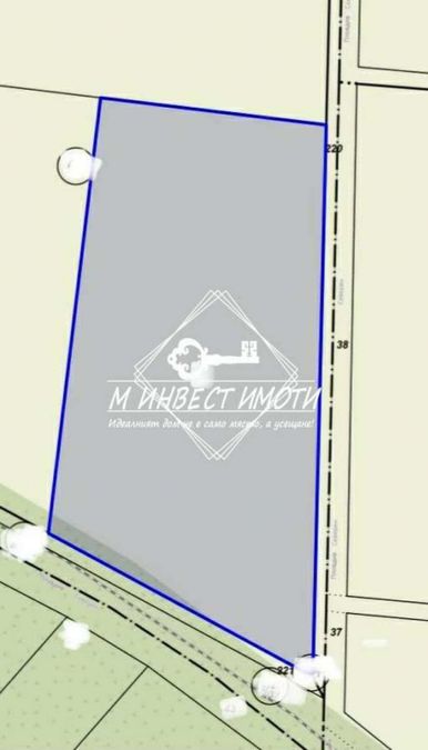 Снимка 334565535