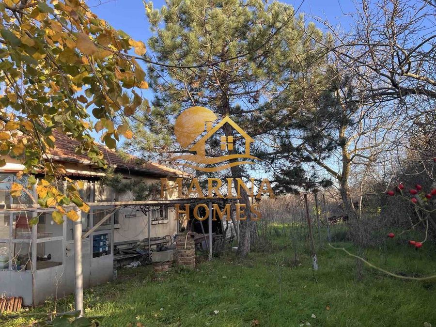 Снимка 335972631