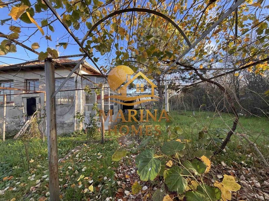 Снимка 335972649