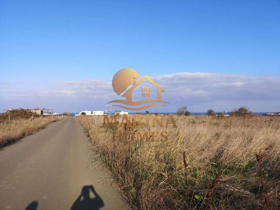 Снимка 335972658