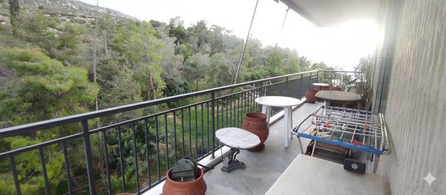 صورة فوتوغرافية 336351987