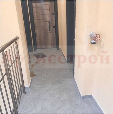 Снимка 336456993