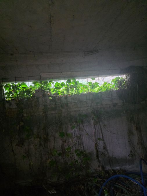 Fotografija 336700395