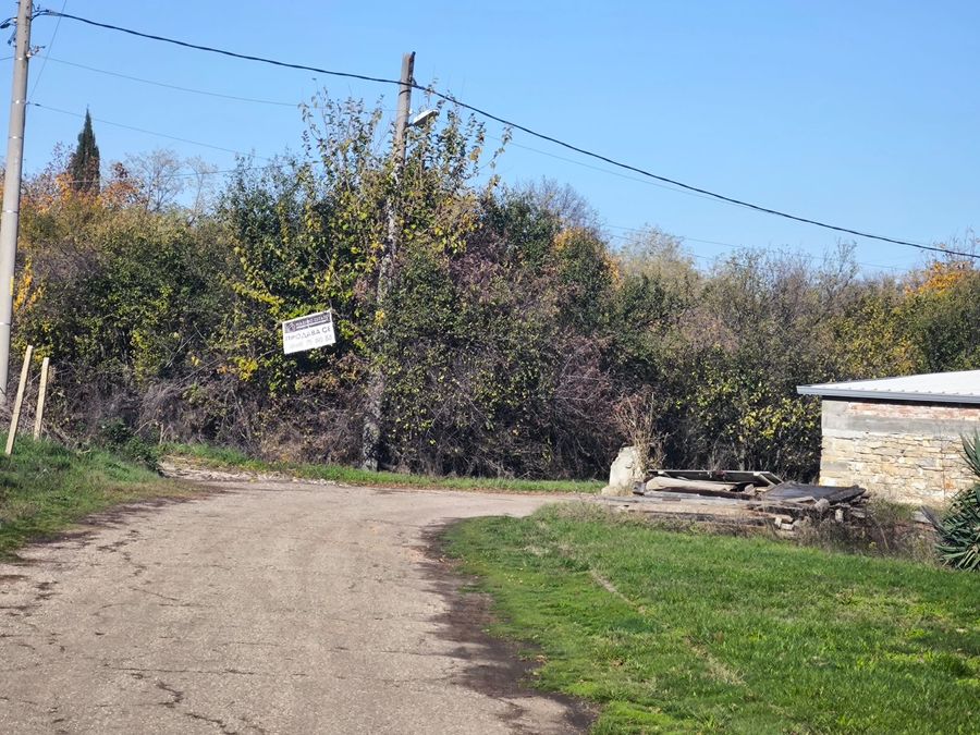 Снимка 336863841