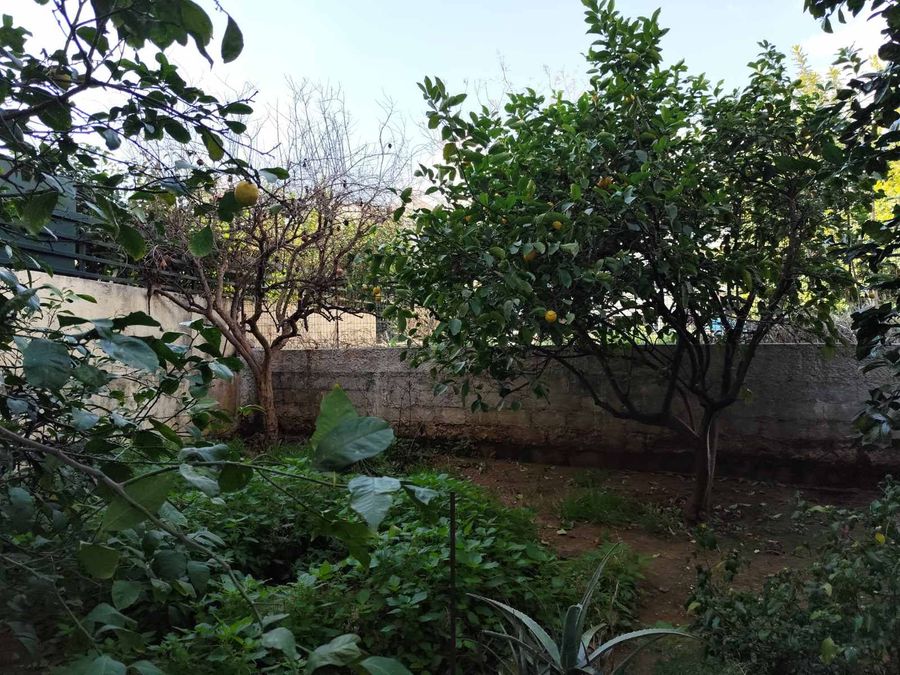 Photo 336934053