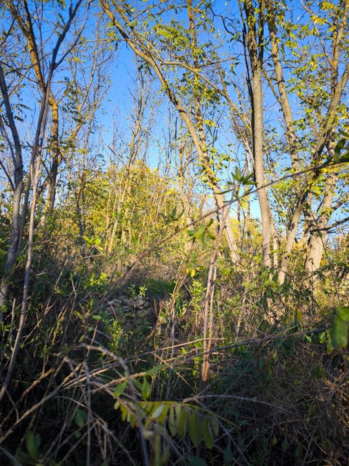 Снимка 337436607