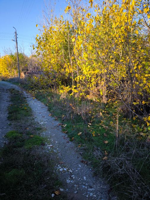 Снимка 337436610