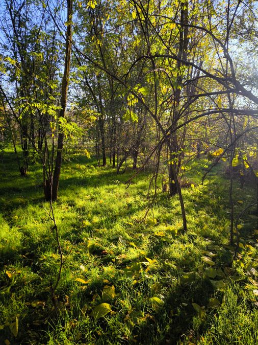 Снимка 337436613